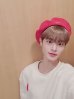 Daehwi on Twitter: "베레모... 어떻게 이제 박제할까요~?❤" [2019.11.07] #2