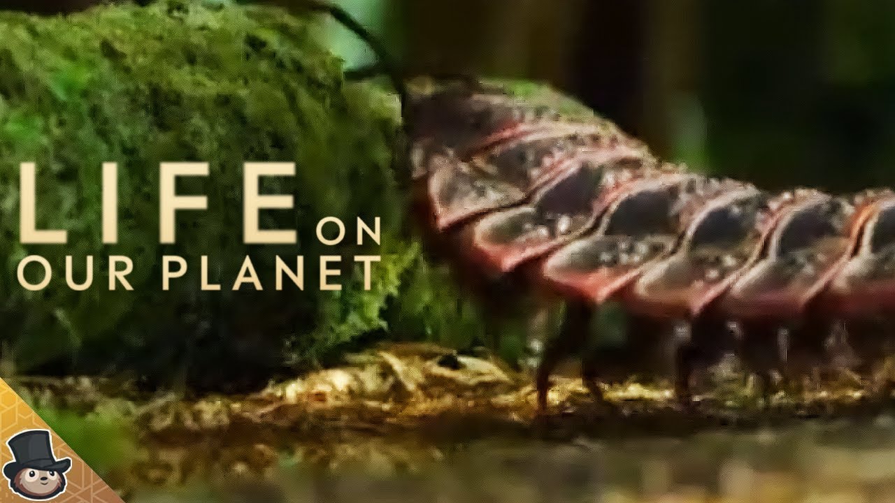 New Life on Our clips Fandom