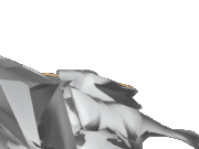 Beheaded Donald Jumpscare.gif