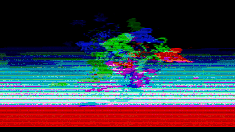 MOSHED-2019-10-1-10-38-45.gif