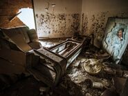 9F2D6509-28A5-438C-A888-89943F651702.jpeg (271 KB)