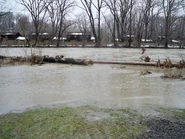 173007 1754035645325 1365449 o.jpg (873 KB)