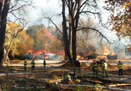 8139721971 3096bc52cc o.jpg (6.23 MB)