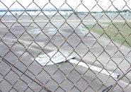 Metropermitsign.jpg (99 KB)