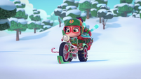 218 - Bike skiing