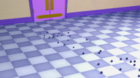 110b - Trail of blueberries on the floor