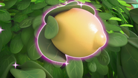 218b - Giant lemon grows