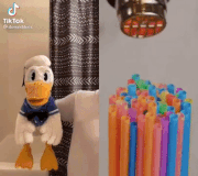 DonaldDucc - Can I Have A Straw GIF.gif