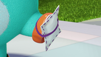 117b - Tiny pillow strapped to Bozzly's shoe