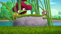 224a - Frog and chipmunk confused