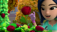 104a - Miranda looks at a rose