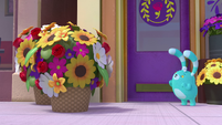220a - Bozzly spots a giant bouquet of flowers