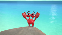 211 - Crab happy