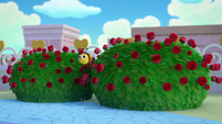 207a - Bee flies out of a rosebush