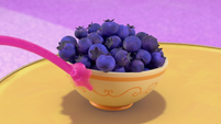124b - Bowl of blueberries with sticky string