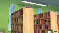 224a - Stuffy spotted on library shelf