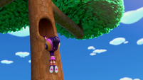 120a - Abby bounces up to the tree hole