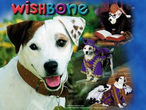 wishbone tv show