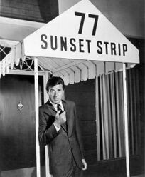 77 Sunset Strip 