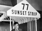 77 Sunset Strip