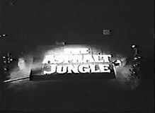 The Asphalt Jungle