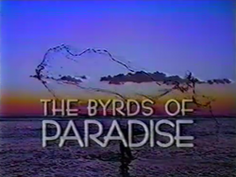 The Byrds of Paradise 