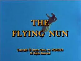 The Flying Nun .jpg