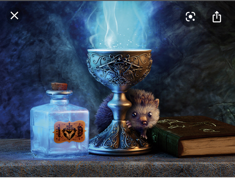 Fandom Image