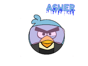 Asher Ingame Design