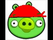 Piratepig.66.jpg