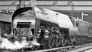 LNER W1 Hush Hush, the real "Galloping Sausage".