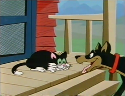 PattheCat10.png