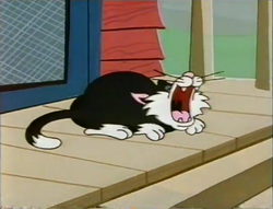 PattheCat4.png