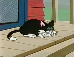 PattheCat7.png