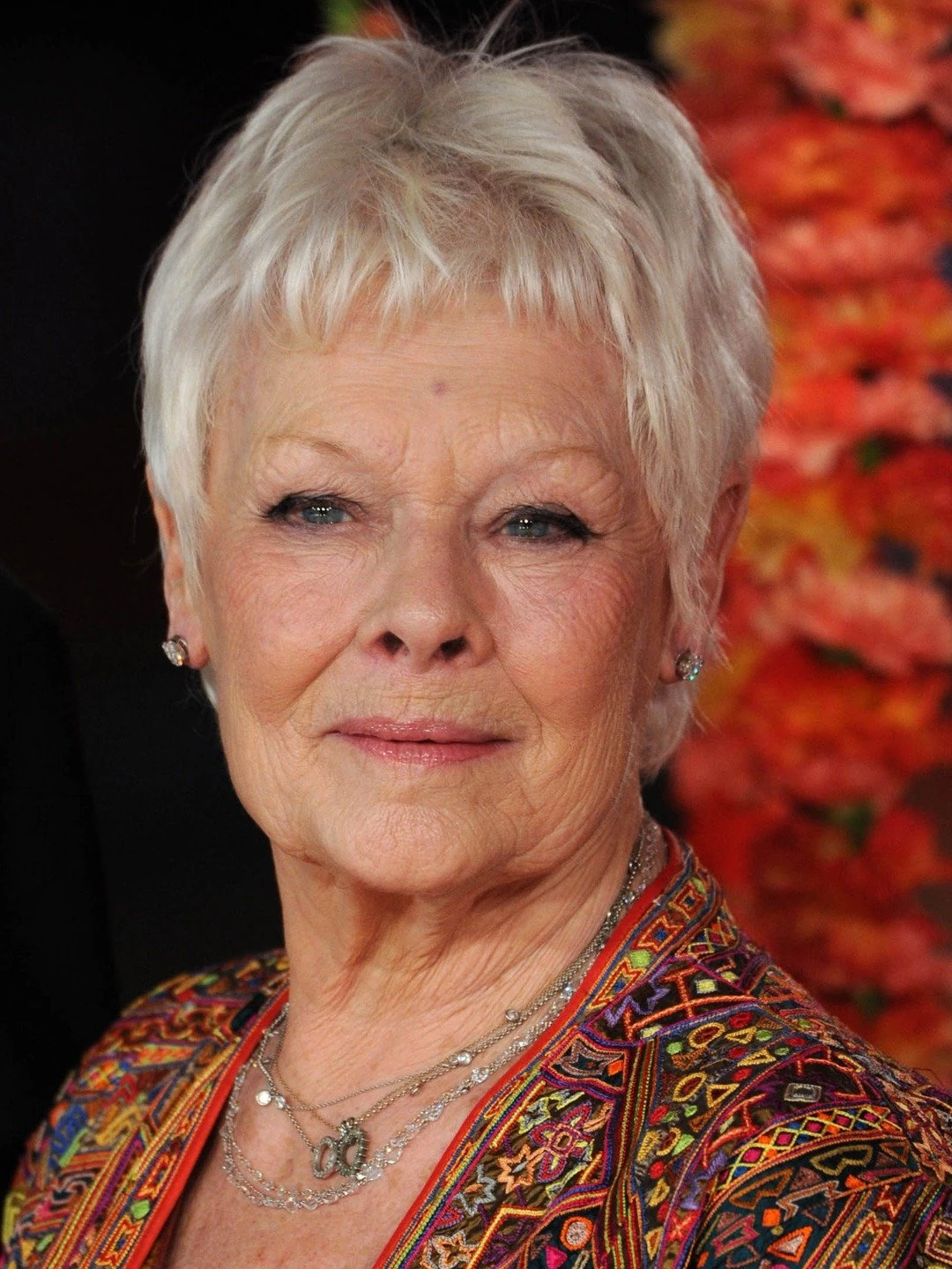 Judi Dench | ABC For Kids Wiki | Fandom