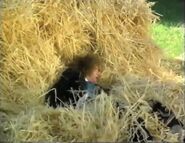 Wally falling into a haystack