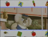 Koala1993-1994