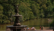 CentralParkNewYork1.jpeg