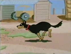 PattheCat21.png