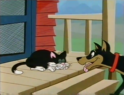 PattheCat9.png