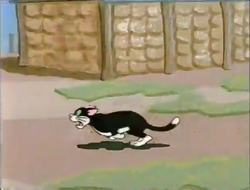 PattheCat18.png