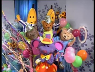 The Bananas, the Teddies, and Rat