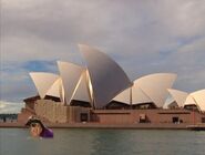 Captain swimming in front of the Sydney Opera House