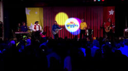 TheOriginalWigglesReunionShowForBushFireRelief862.jpeg