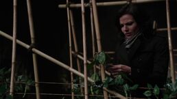 Ouat0219hd-2970