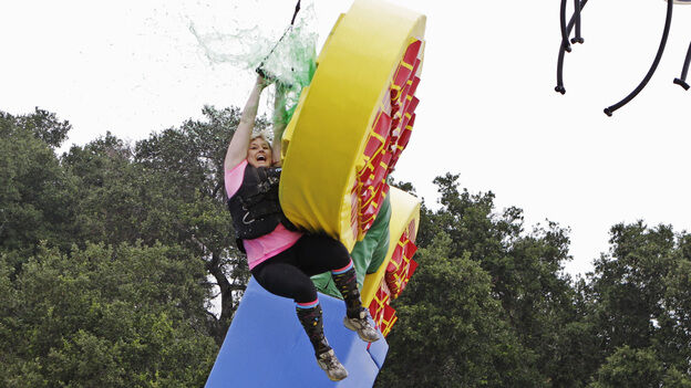 Fly Swatter.jpg
