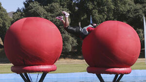 Jeff-samaripa-abc-wipeout-530w.jpg