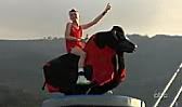 9Bull1.jpg