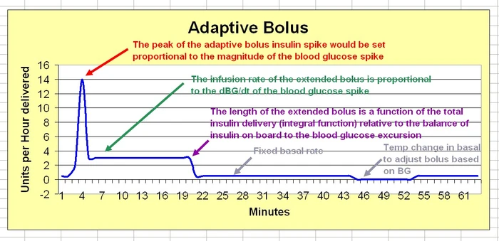 The components of the adaptive bolus curve include the spike, extended bolus phase, first basal phase, basal correction phase, and then return to closed loop basal control.