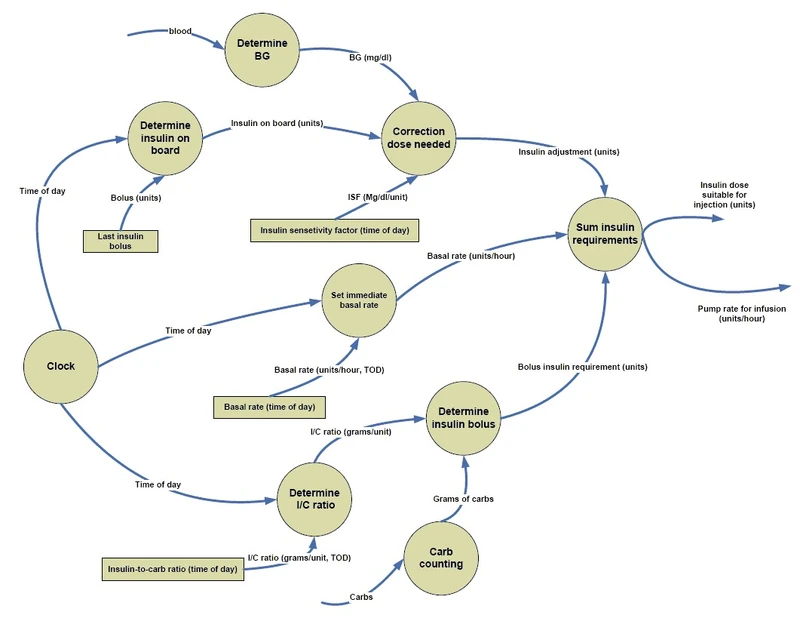 Data Flow Diagram for Continuous Subcutaneous Insulin